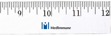 12" Enamel Wood Ruler - English Scale