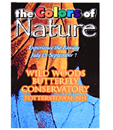 Full Color Digital Large Rectangle Magnet