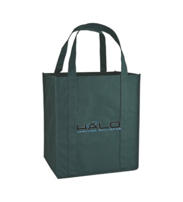 Eco Carry Large Shopping Bag