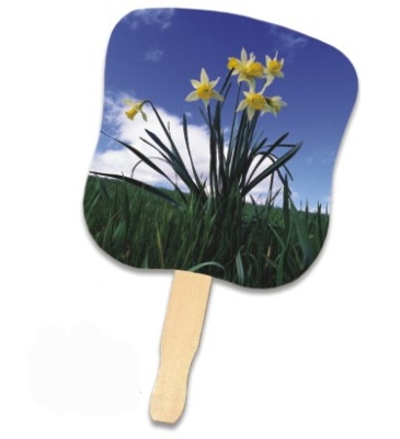 Stock Design Hand Fan - Daffodils