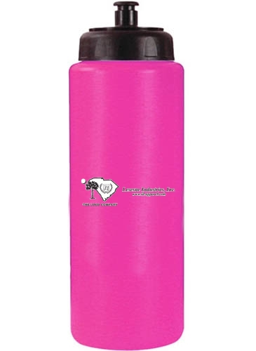 32 oz. Sports Bottle with Push 'n Pull Cap