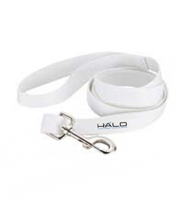 Full Color 1" Wide Premium Pet Leash