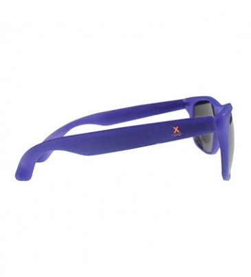 Sun Fun Sunglasses
