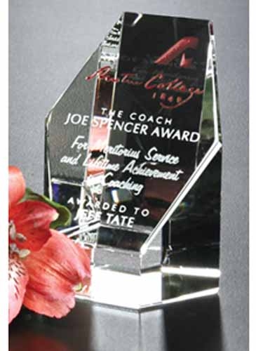 Citadel Award 3-1/4"