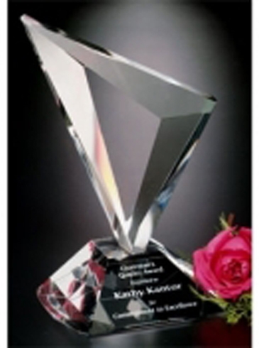Genesis Award 9"