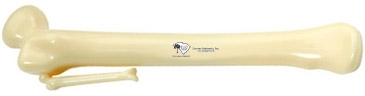Bone Pen