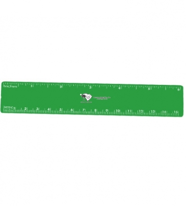 6" Ruler