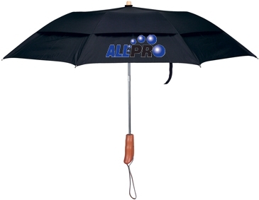 43 arc – Lil’ Windy