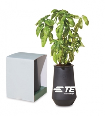Modern Sprout Tapered Tumbler Grow Kit