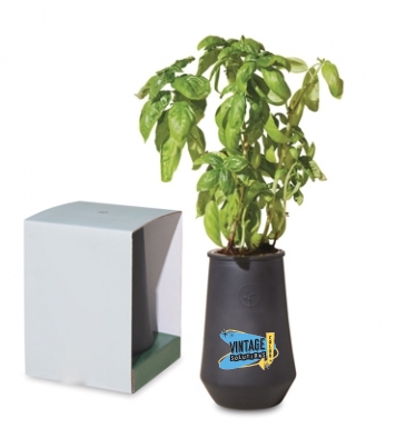 Modern Sprout Tapered Tumbler Grow Kit