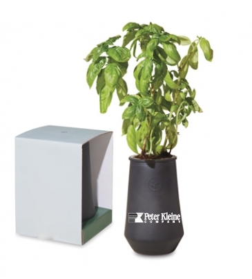 Modern Sprout Tapered Tumbler Grow Kit