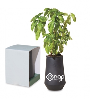 Modern Sprout Tapered Tumbler Grow Kit