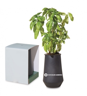 Modern Sprout Tapered Tumbler Grow Kit