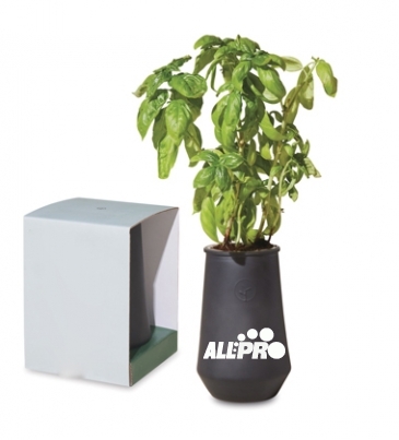 Modern Sprout Tapered Tumbler Grow Kit