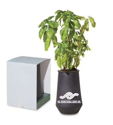 Modern Sprout Tapered Tumbler Grow Kit