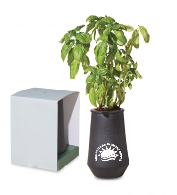 Modern Sprout Tapered Tumbler Grow Kit