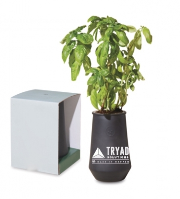 Modern Sprout Tapered Tumbler Grow Kit