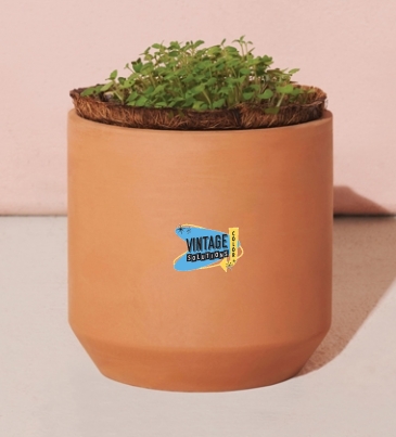 Modern Sprout® Tiny Terracotta Grow Kit Thank You Daisies