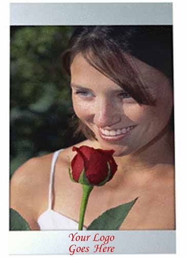 4 x 6 Three Piece Brushed Silver Clip Frame