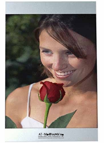 4 x 6 Three Piece Brushed Silver Clip Frame