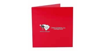 CD/DVD Business Card Folio
