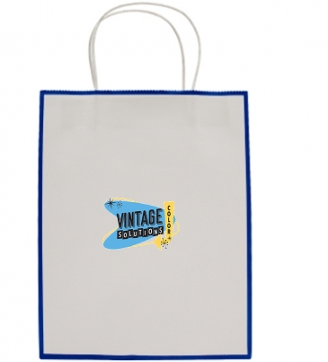 Laminated Paper Gift Bag