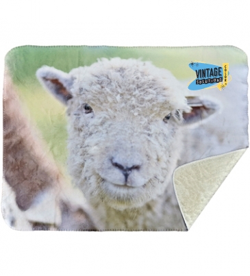 30" X 40" Faux Mink Suede Blanket