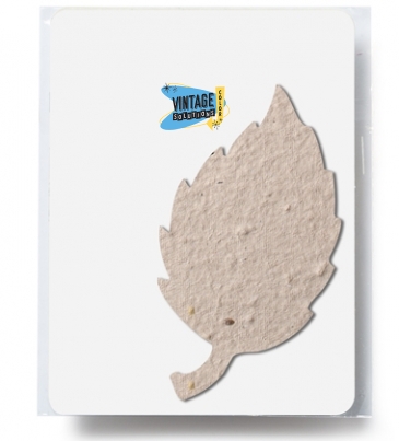 Bloomin® Aspen Shaped Plantable Gift Pack