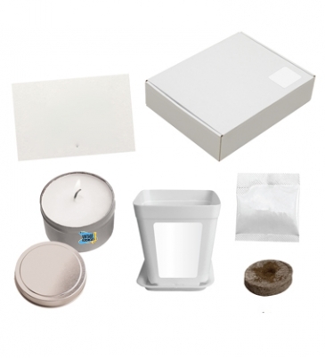 Diy Planter & Candle Gift Set