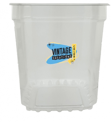 Individually Wrapped Mints