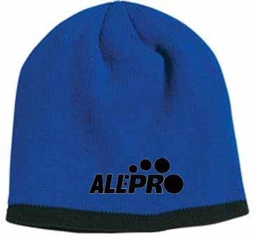 Big Accessories Knit Beanie