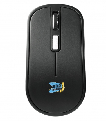 Flash Portable Wireless Mouse