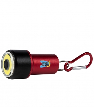 Bright Beam Aluminum Cob Light