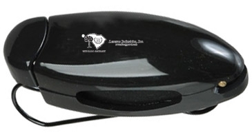 Sunglasses Clip