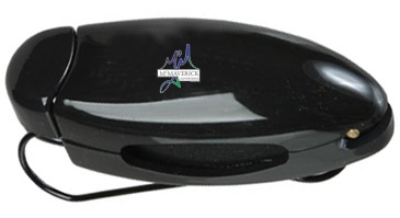 Sunglasses Clip