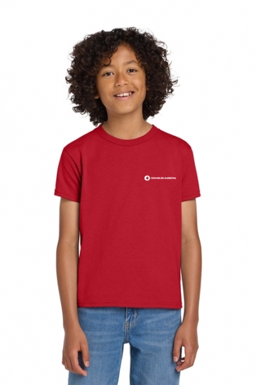 Gildan® Youth DryBlend® 50 Cotton/50 Poly T-Shirt