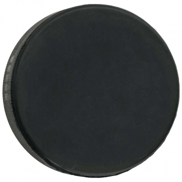 Hockey Puck Official Size