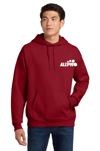 Hanes Ultimate Cotton - Pullover Hooded Sweatshirt