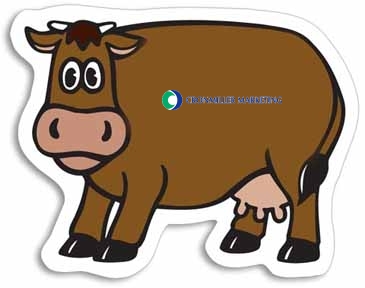 Cow Magnet