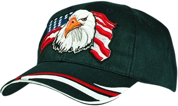 Heavy Sports Twill with Eagle USA Design