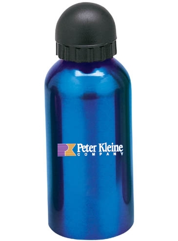 16.9 oz. Domed Flask