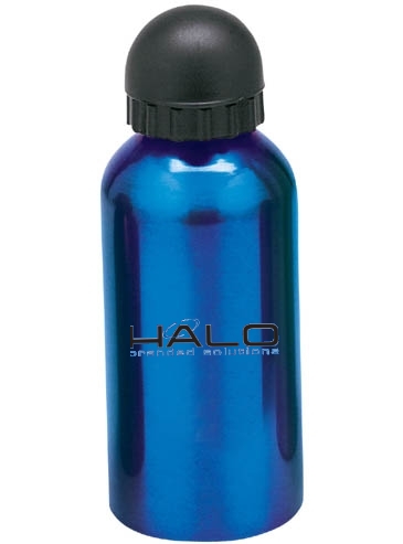 16.9 oz. Domed Flask