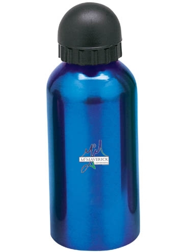 16.9 oz. Domed Flask