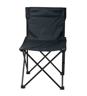 Price Buster Folding Chair With Carrying Bag