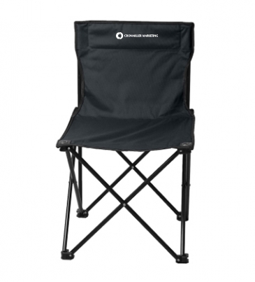 Price Buster Folding Chair With Carrying Bag