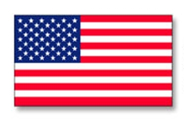 U.S. Flag Decal | 1 7/16" x 2 1/2" | White Vinyl | Removable Adhe