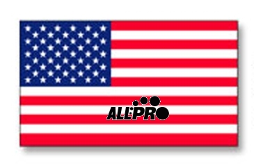 U.S. Flag Decal | 1 7/16" x 2 1/2" | White Vinyl | Removable Adhe