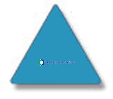 Special Shapes Roll Label | Triangle | 7/8" x 1" | White Gloss Pa