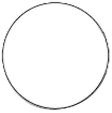 Value-Line Die Cut Roll Label | Circle | 1" dia. | White Gloss Pa