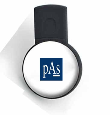 PAS Online Store - Epoxy USB Drive 200